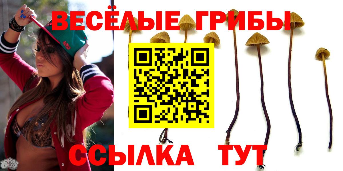 Псилоцибиновые грибы прущие грибы  Вход с VPN  Сертолово 