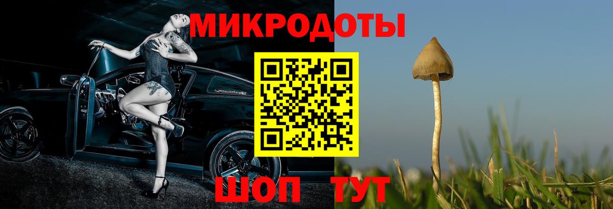 Галлюциногенные грибы MAGIC MUSHROOMS Сертолово