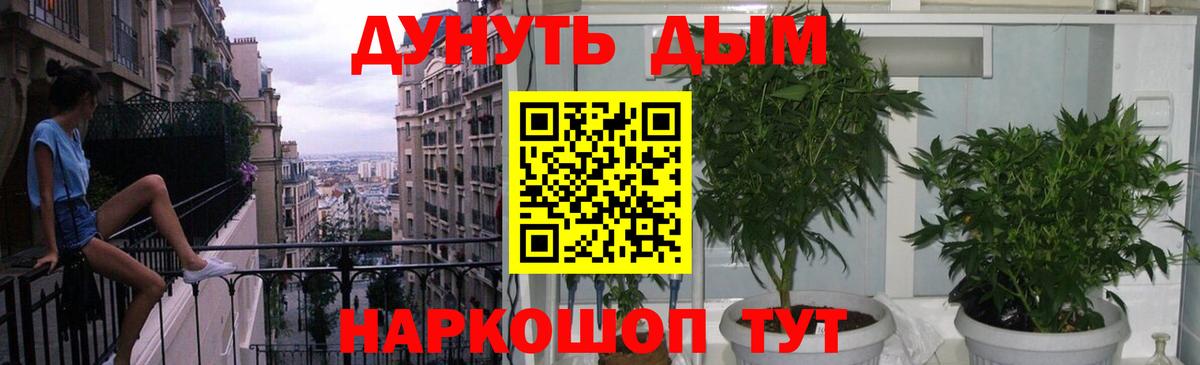 Каннабис Amnesia  Конопля OG Kush  Вход с VPN  Бошки марихуана AK-47  Сертолово 
